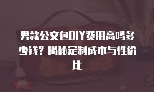 男款公文包DIY费用高吗多少钱？揭秘定制成本与性价比