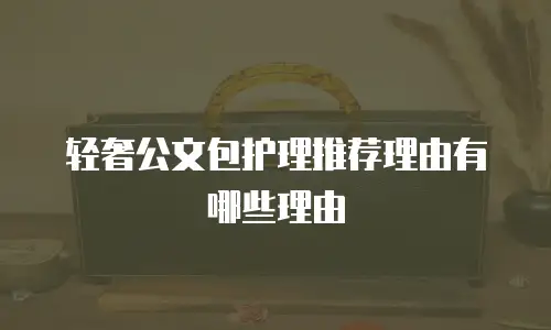 轻奢公文包护理推荐理由有哪些理由