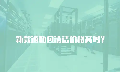 新款通勤包清洁价格高吗？