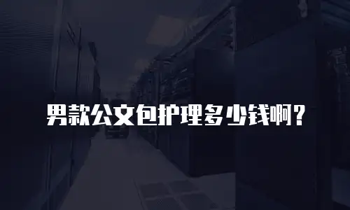 男款公文包护理多少钱啊？