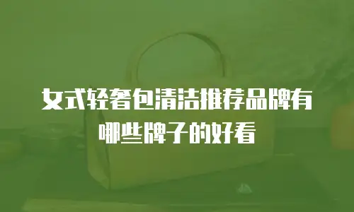 女式轻奢包清洁推荐品牌有哪些牌子的好看