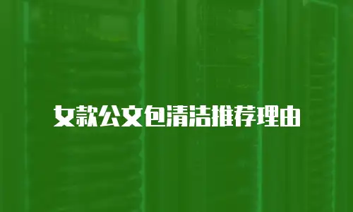 女款公文包清洁推荐理由
