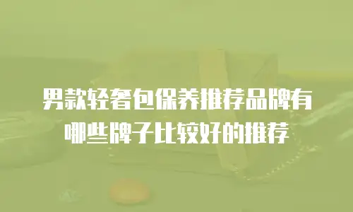 男款轻奢包保养推荐品牌有哪些牌子比较好的推荐