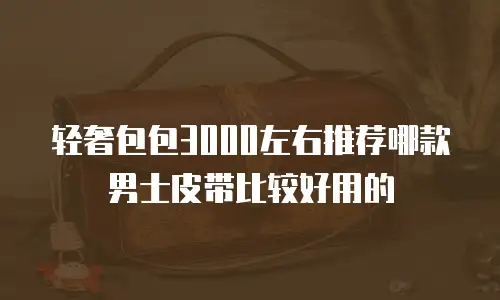 轻奢包包3000左右推荐哪款男士皮带比较好用的