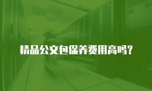 精品公文包保养费用高吗？