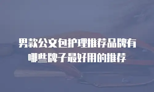 男款公文包护理推荐品牌有哪些牌子最好用的推荐