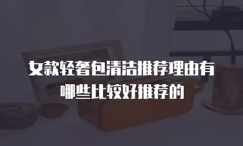 女款轻奢包清洁推荐理由有哪些比较好推荐的