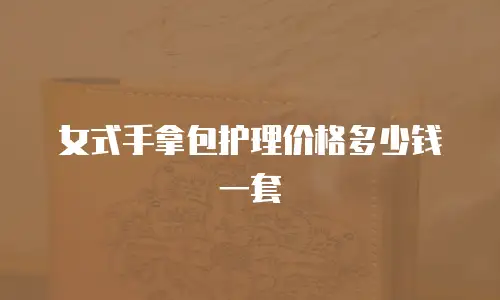 女式手拿包护理价格多少钱一套