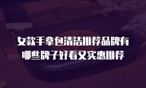 女款手拿包清洁推荐品牌有哪些牌子好看又实惠推荐