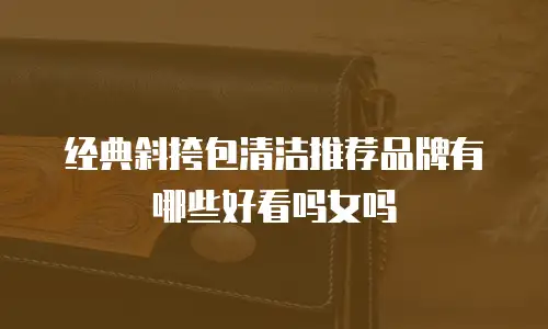 经典斜挎包清洁推荐品牌有哪些好看吗女吗