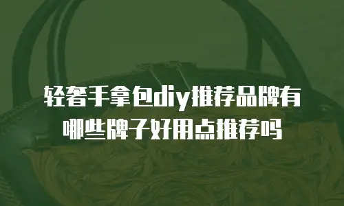 轻奢手拿包diy推荐品牌有哪些牌子好用点推荐吗