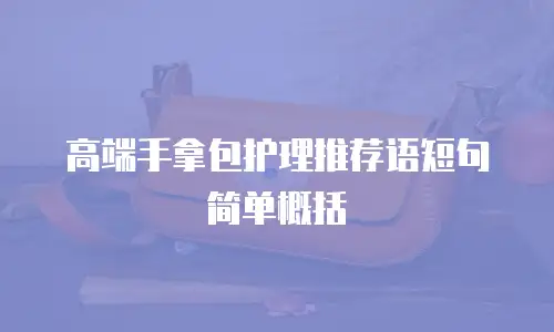 高端手拿包护理推荐语短句简单概括