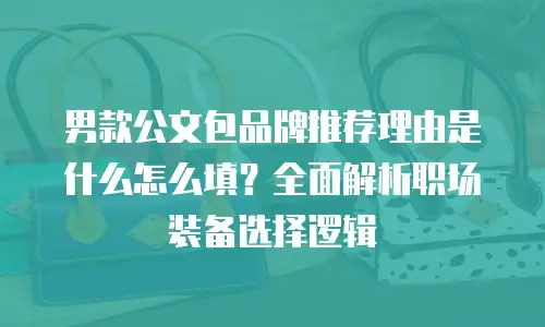 男款公文包品牌推荐理由是什么怎么填？全面解析职场装备选择逻辑