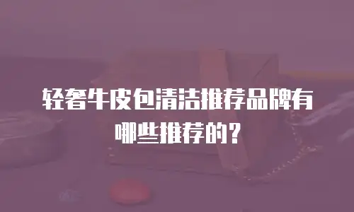 轻奢牛皮包清洁推荐品牌有哪些推荐的？