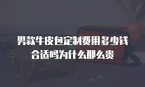男款牛皮包定制费用多少钱合适吗为什么那么贵