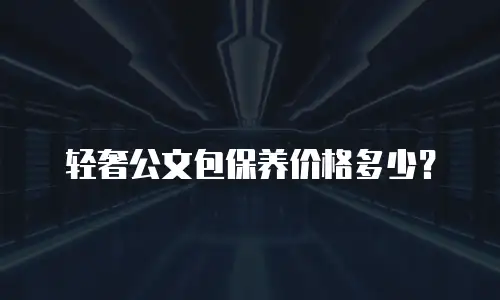 轻奢公文包保养价格多少？