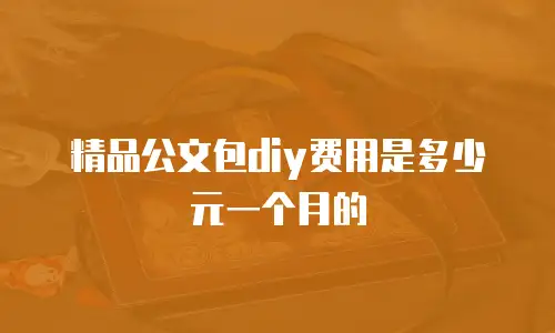 精品公文包diy费用是多少元一个月的