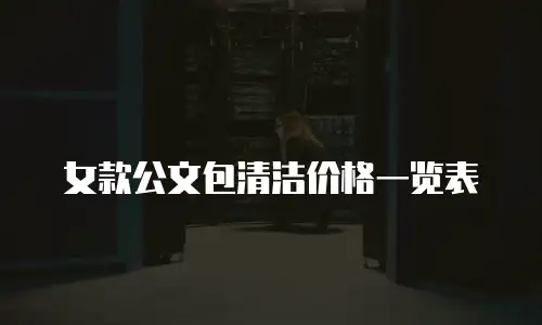 女款公文包清洁价格一览表