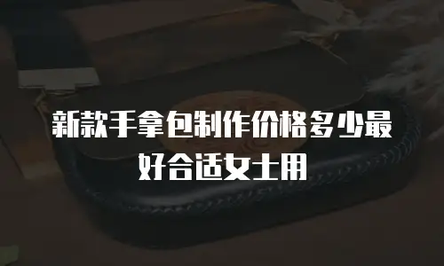 新款手拿包制作价格多少最好合适女士用