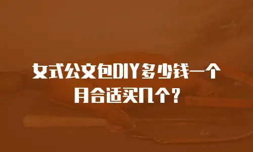 女式公文包DIY多少钱一个月合适买几个？