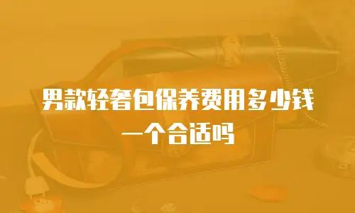 男款轻奢包保养费用多少钱一个合适吗