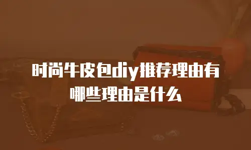 时尚牛皮包diy推荐理由有哪些理由是什么