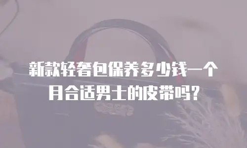新款轻奢包保养多少钱一个月合适男士的皮带吗？