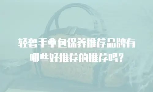 轻奢手拿包保养推荐品牌有哪些好推荐的推荐吗？