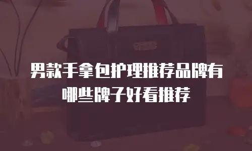 男款手拿包护理推荐品牌有哪些牌子好看推荐