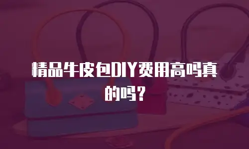 精品牛皮包DIY费用高吗真的吗？