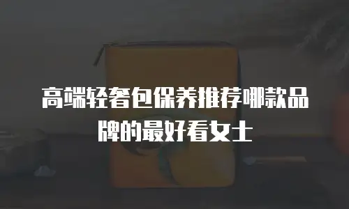 高端轻奢包保养推荐哪款品牌的最好看女士