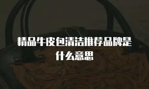 精品牛皮包清洁推荐品牌是什么意思