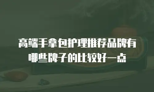 高端手拿包护理推荐品牌有哪些牌子的比较好一点