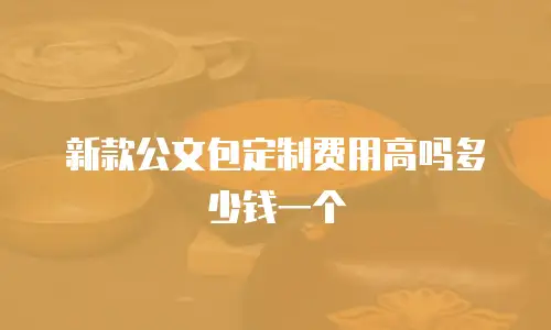新款公文包定制费用高吗多少钱一个