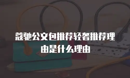 蔻驰公文包推荐轻奢推荐理由是什么理由