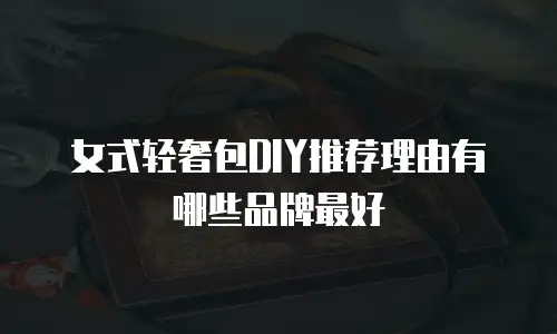 女式轻奢包DIY推荐理由有哪些品牌最好