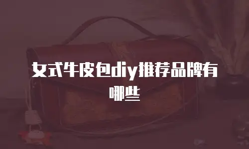 女式牛皮包diy推荐品牌有哪些