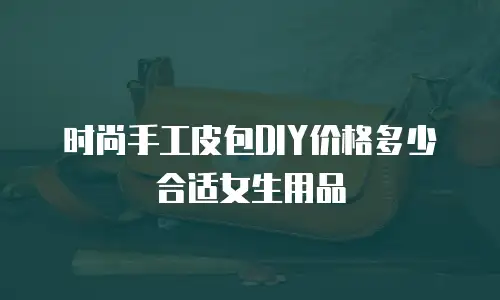 时尚手工皮包DIY价格多少合适女生用品