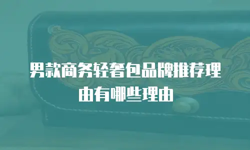 男款商务轻奢包品牌推荐理由有哪些理由