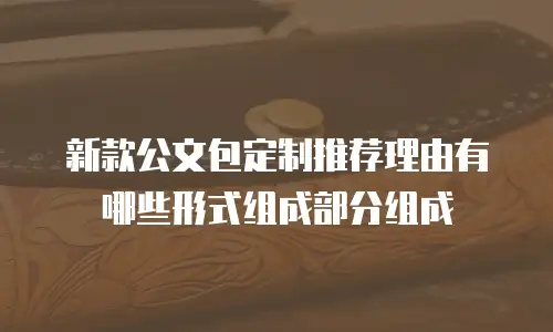 新款公文包定制推荐理由有哪些形式组成部分组成