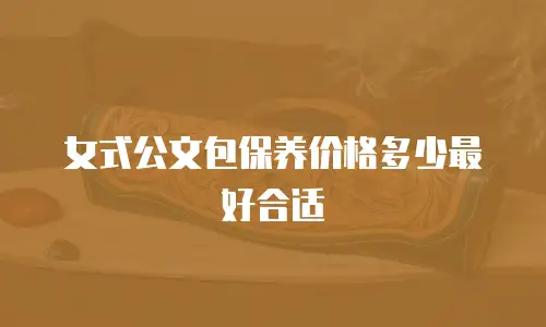 女式公文包保养价格多少最好合适