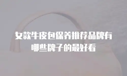 女款牛皮包保养推荐品牌有哪些牌子的最好看