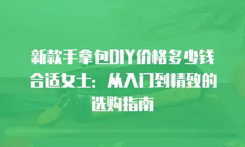 新款手拿包DIY价格多少钱合适女士：从入门到精致的选购指南