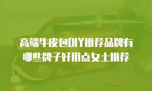 高端牛皮包DIY推荐品牌有哪些牌子好用点女士推荐