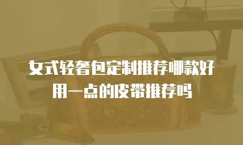 女式轻奢包定制推荐哪款好用一点的皮带推荐吗