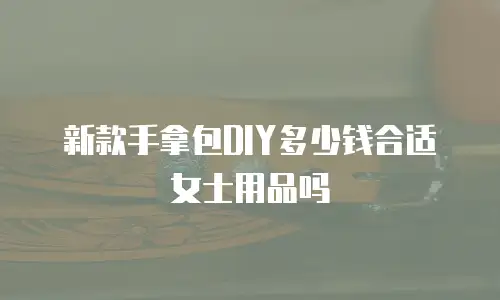 新款手拿包DIY多少钱合适女士用品吗