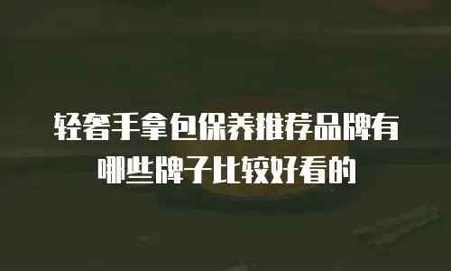 轻奢手拿包保养推荐品牌有哪些牌子比较好看的