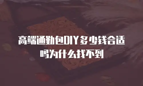 高端通勤包DIY多少钱合适吗为什么找不到
