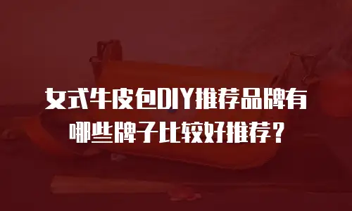 女式牛皮包DIY推荐品牌有哪些牌子比较好推荐？