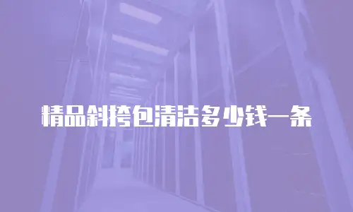 精品斜挎包清洁多少钱一条
